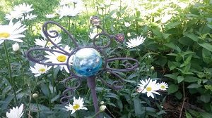 Picture of Jasmine flower.